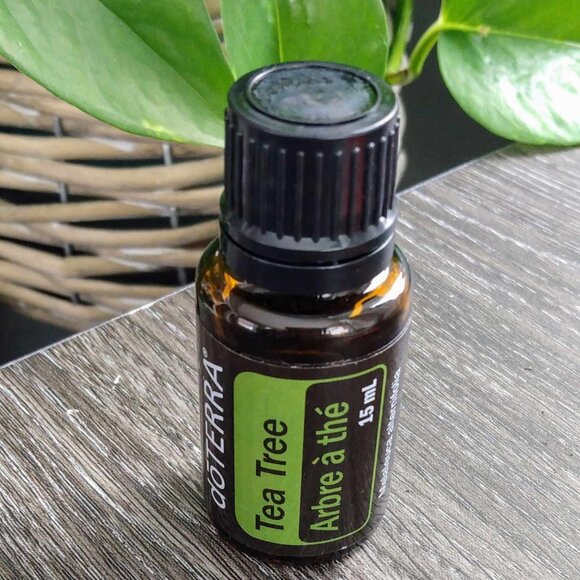 doTerra Tea Tree Essential Oil - Picture 1 of 1